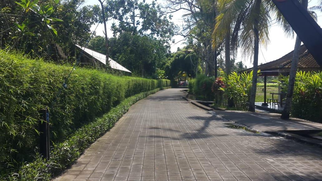 Villa dijual di Canggu Bali