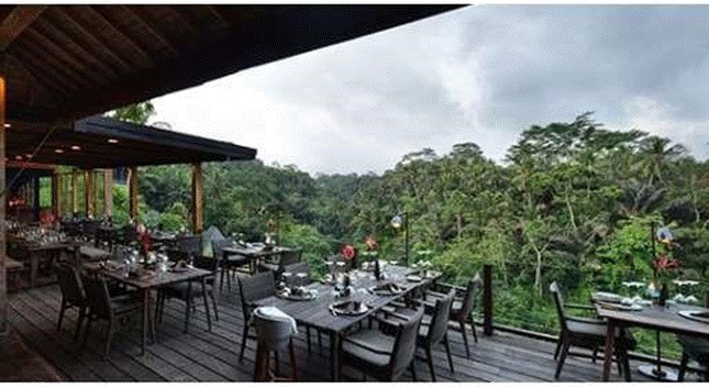 Villa dijual di Canggu Bali