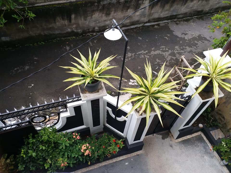 Rumah dijual di Denpasar