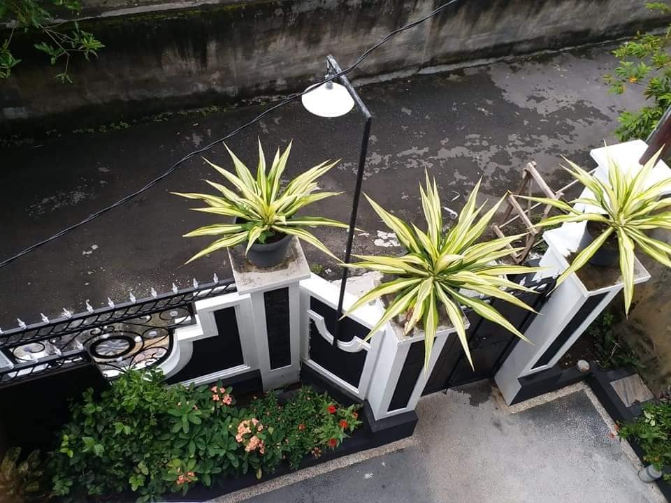 Rumah dijual di Denpasar