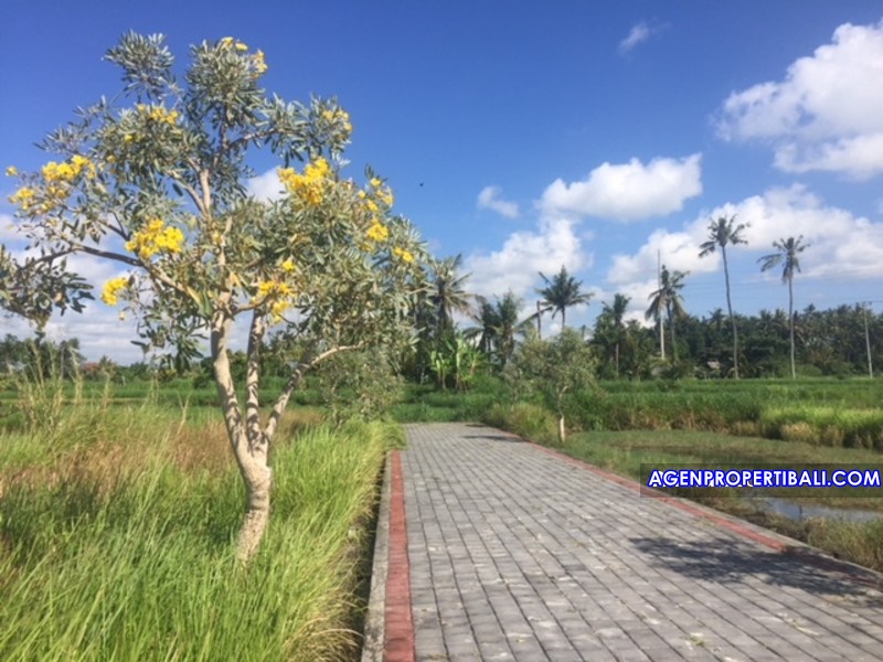 Tanah Kavling dijual di Bali