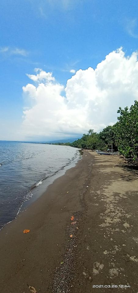 Tanah Los Pantai dijual di Buleleng