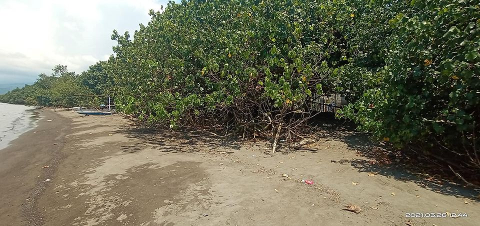 Tanah Los Pantai dijual di Buleleng