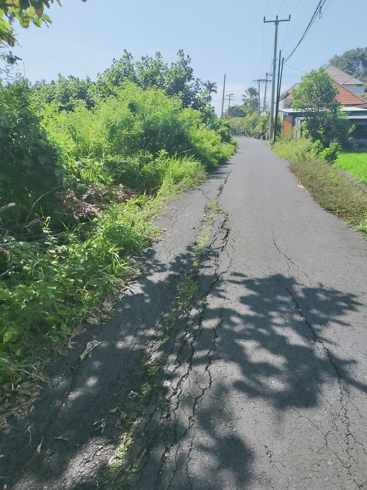 Tanah Los Pantai dijual di Cemagi