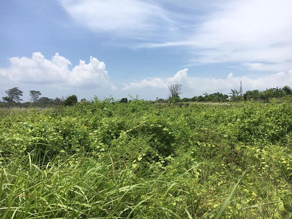 Tanah Los Pantai dijual di Gianyar