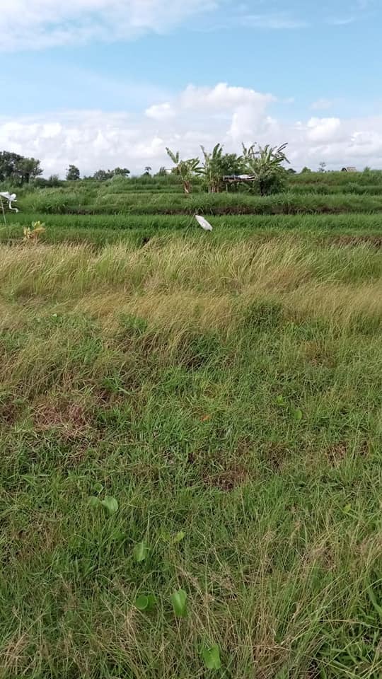 Tanah Los Pantai dijual di Klungkung