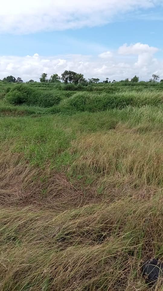 Tanah Los Pantai dijual di Klungkung