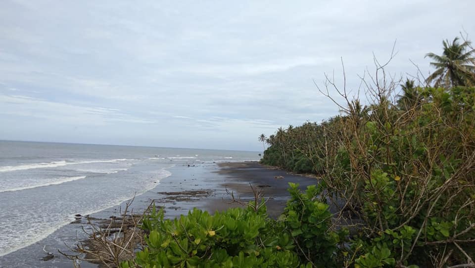 Tanah Los Pantai dijual di Tabanan