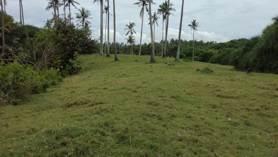 Tanah Los Pantai dijual di Tabanan