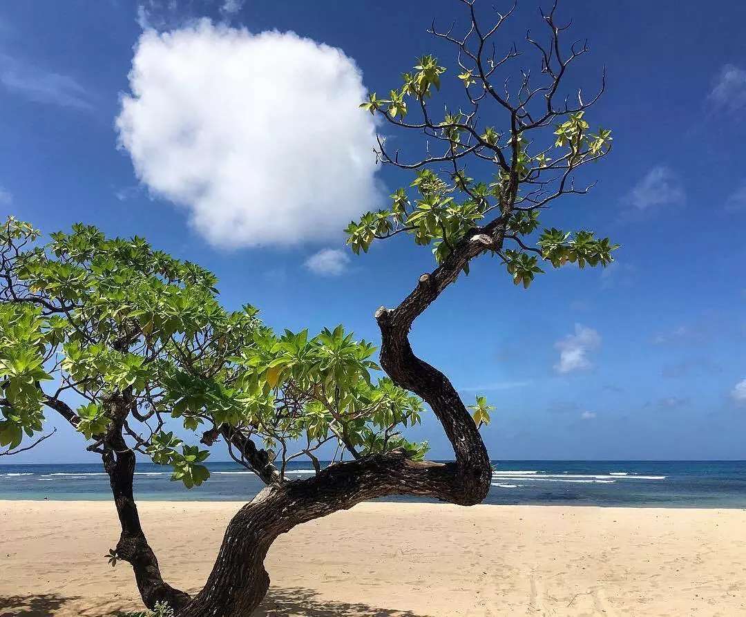 Tanah Los Pantai dijual di Tanjung Benoa