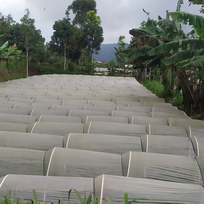 dijual tanah view kebun sayur di Bali