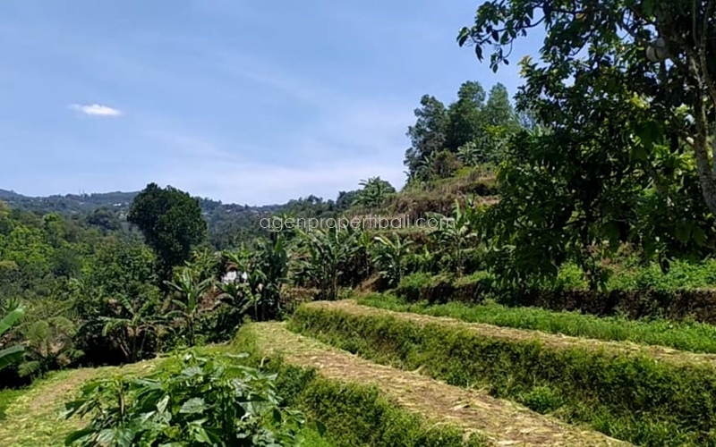 tanah dijual di Angseri Baturiti