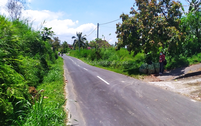 tanah dijual di Batunya Baturiti