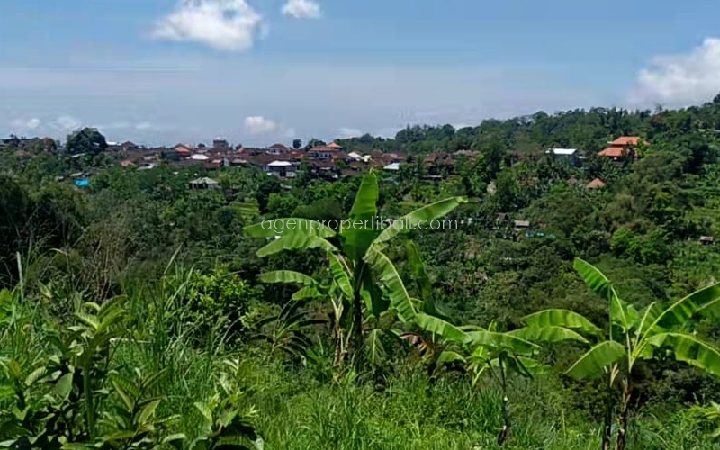tanah dijual di Batunya Baturiti