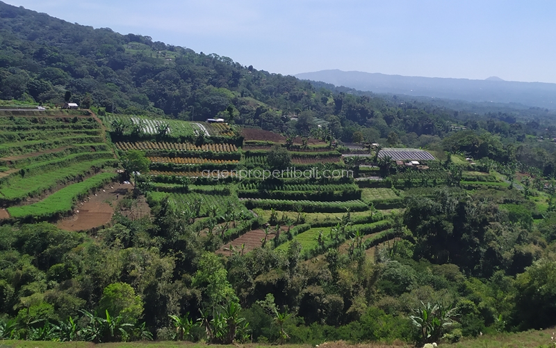 tanah dijual di Bedugul Baturiti