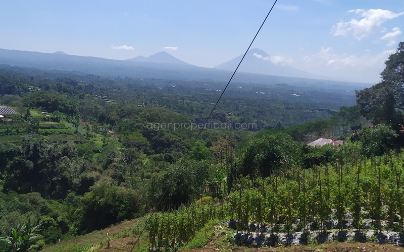 tanah dijual di Bedugul Baturiti