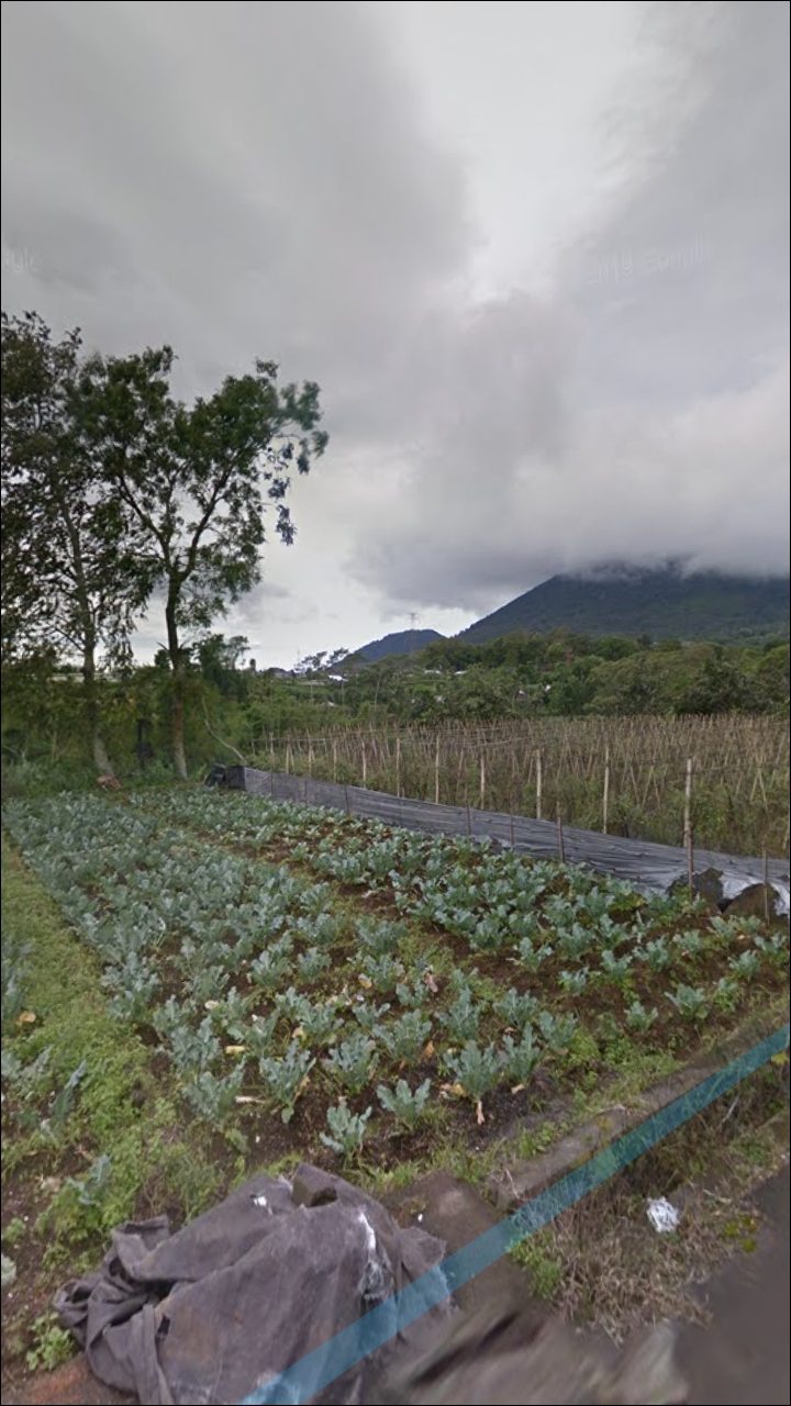 Tanah dijual di Bedugul