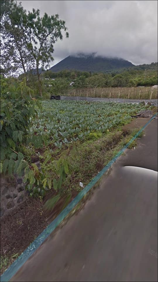 Tanah dijual di Bedugul