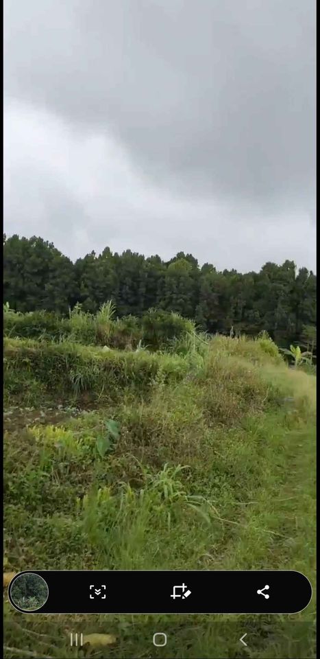 Tanah dijual di Bedugul