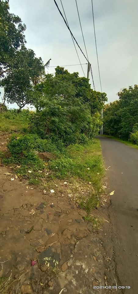 Tanah dijual di Buleleng