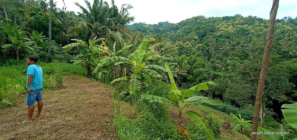 Tanah dijual di Buleleng