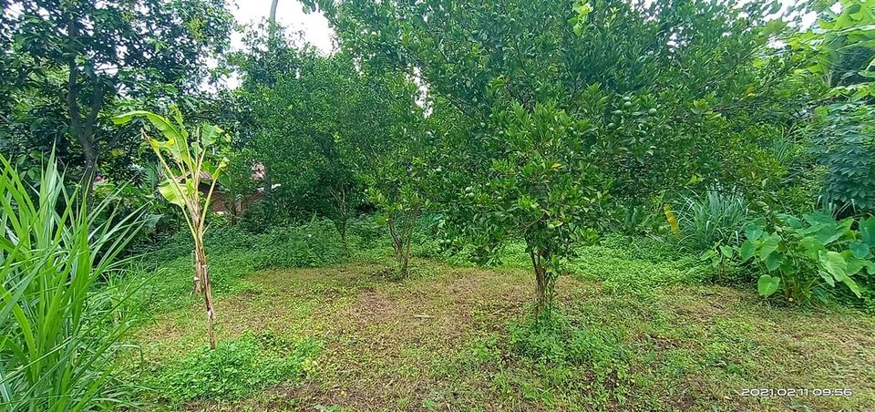 Tanah dijual di Buleleng