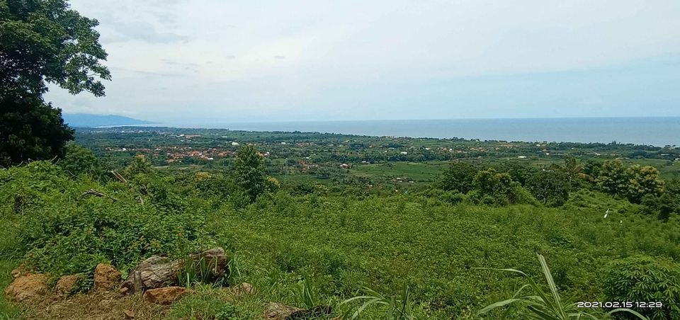 Tanah dijual di Buleleng