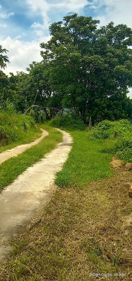 Tanah dijual di Buleleng