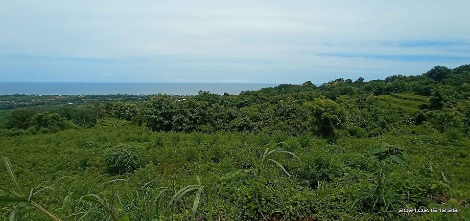 Tanah dijual di Buleleng