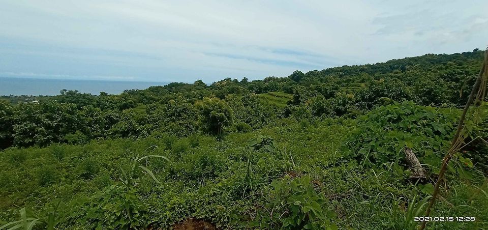 Tanah dijual di Buleleng