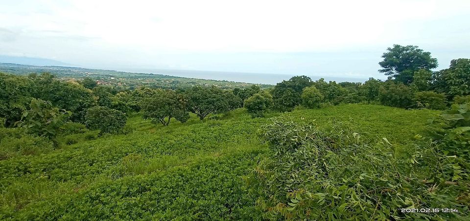 Tanah dijual di Buleleng