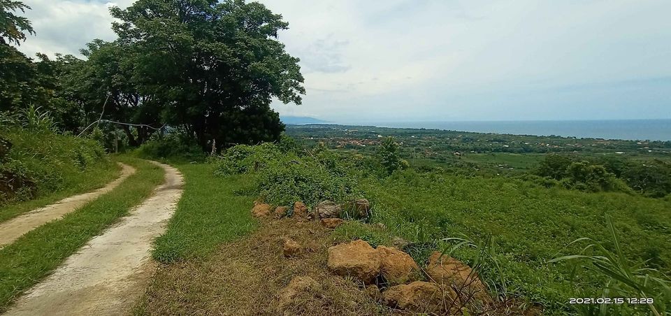 Tanah dijual di Buleleng