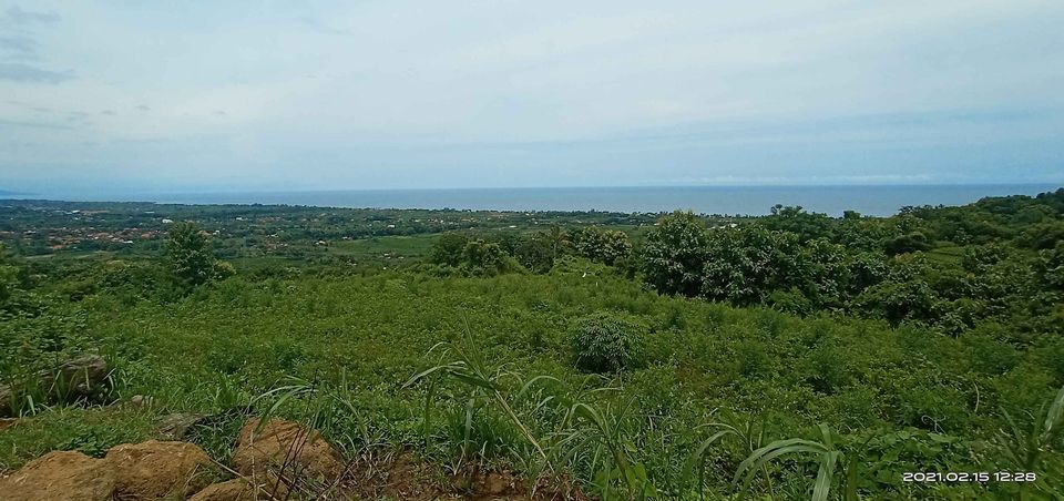 Tanah dijual di Buleleng