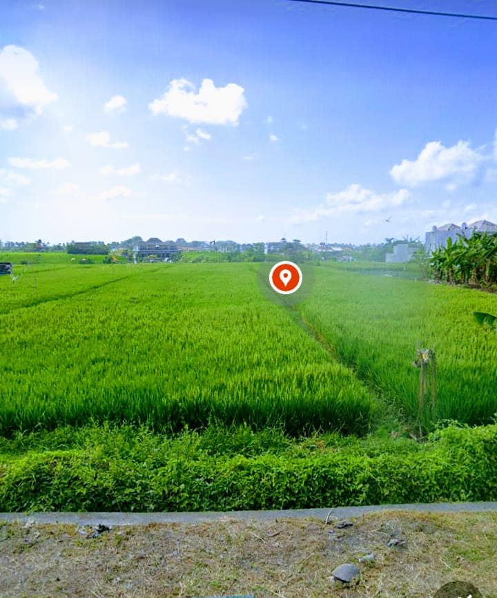 Tanah dijual di Cemagi