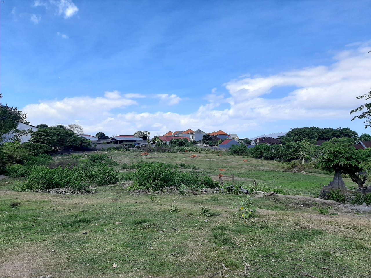 Tanah dijual di Denpasar