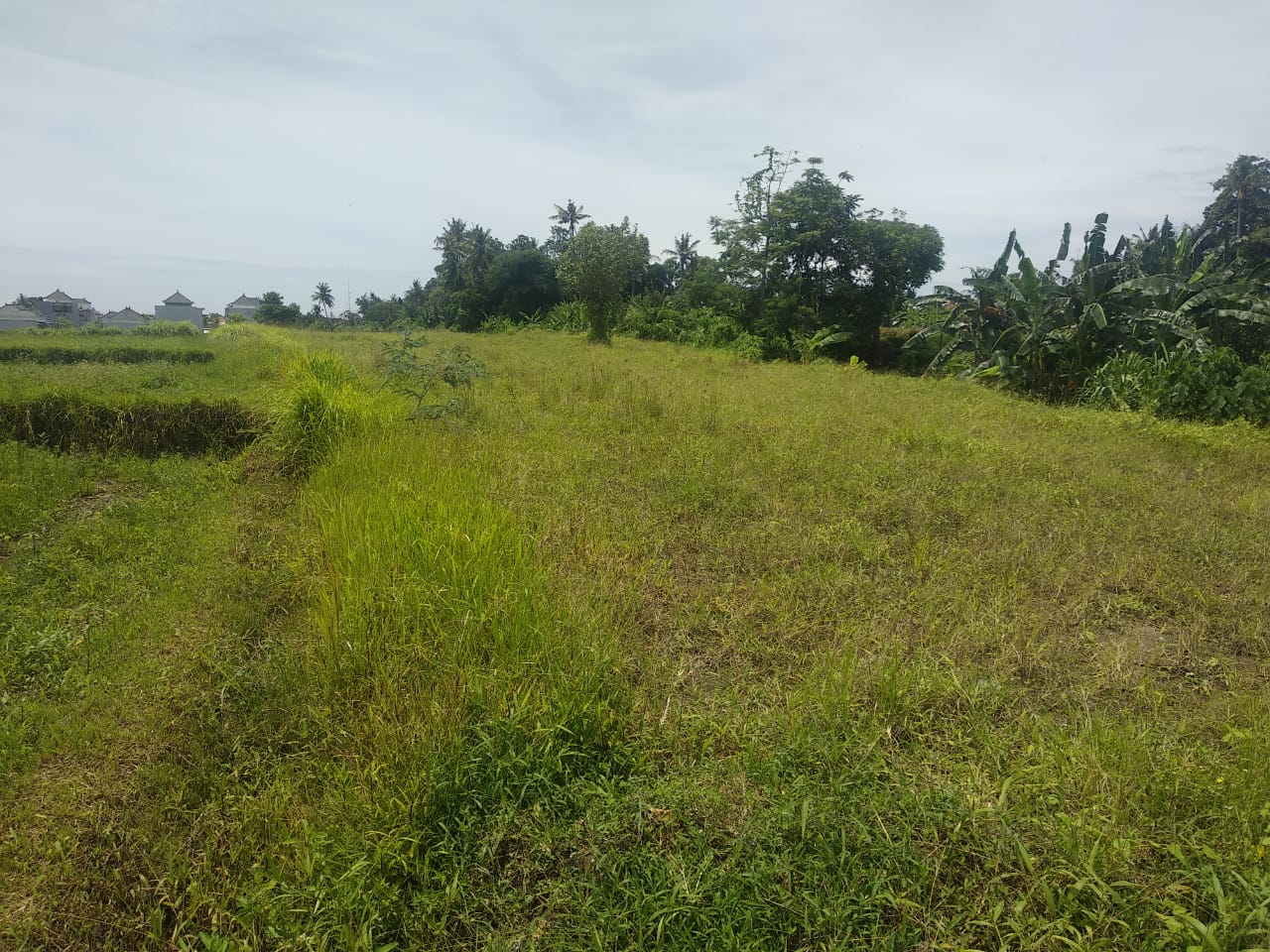 Tanah dijual di Denpasar