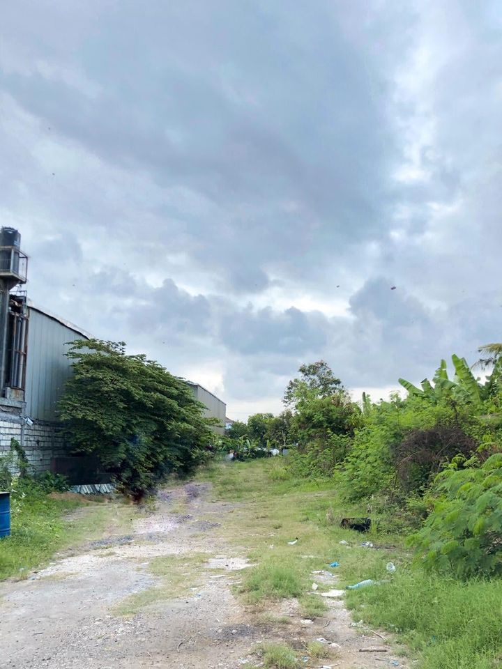 Tanah dijual di Denpasar