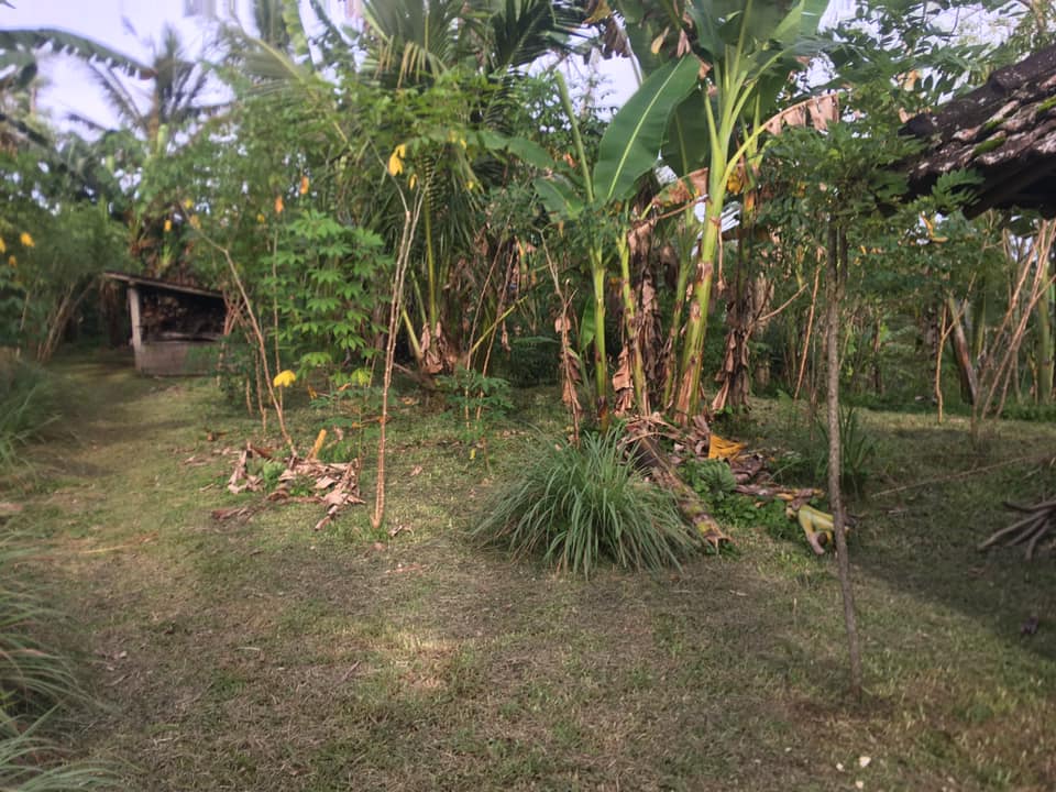 Tanah dijual di Jatiluwih