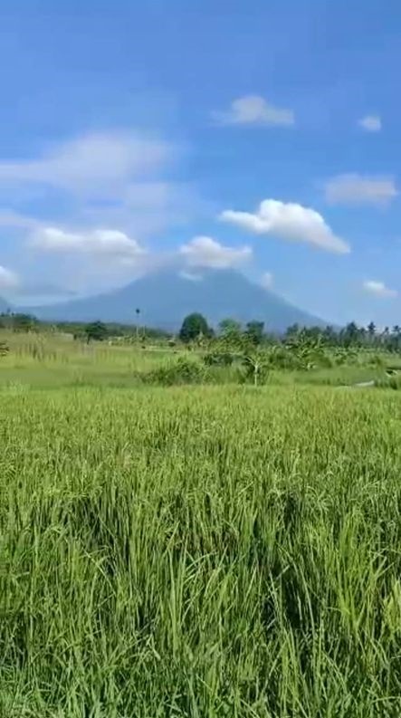 Tanah dijual di Karangasem