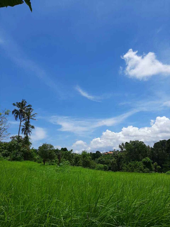 Tanah dijual di Lotunduh