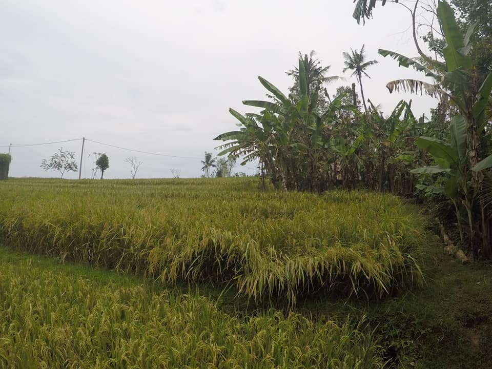 Tanah dijual di Pantai Nyanyi