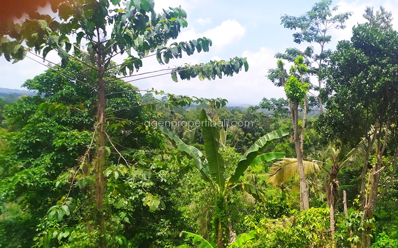 tanah dijual di Pupuan Tabanan