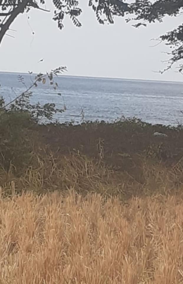 Tanah dijual di Singaraja