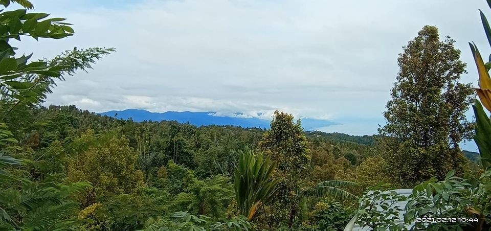 Tanah dijual di Singaraja