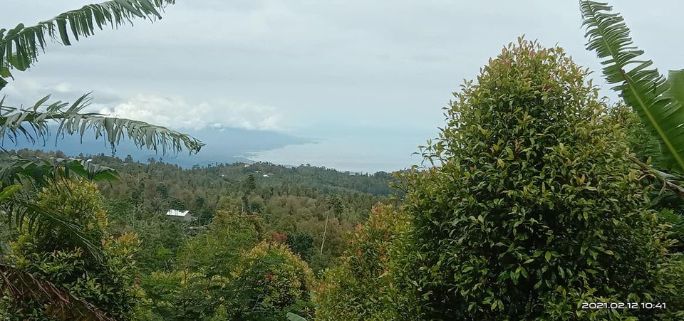 Tanah dijual di Singaraja