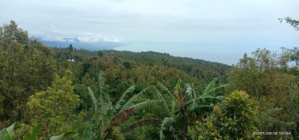 Tanah dijual di Singaraja