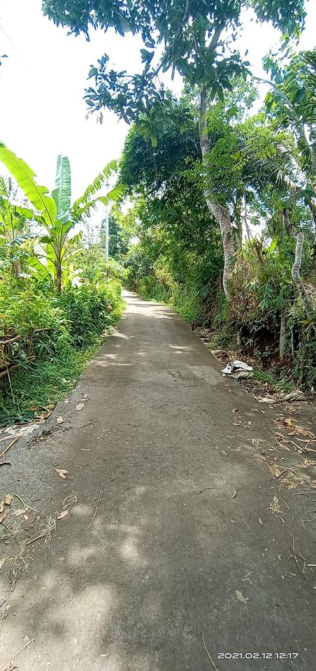 Tanah dijual di Singaraja