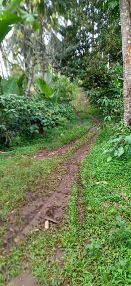 Tanah dijual di Tabanan