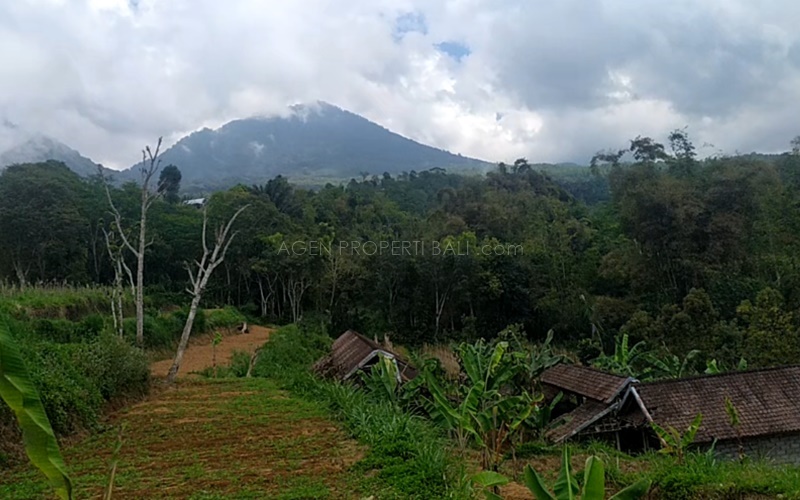 dijual tanah 1 Hektar di Bali