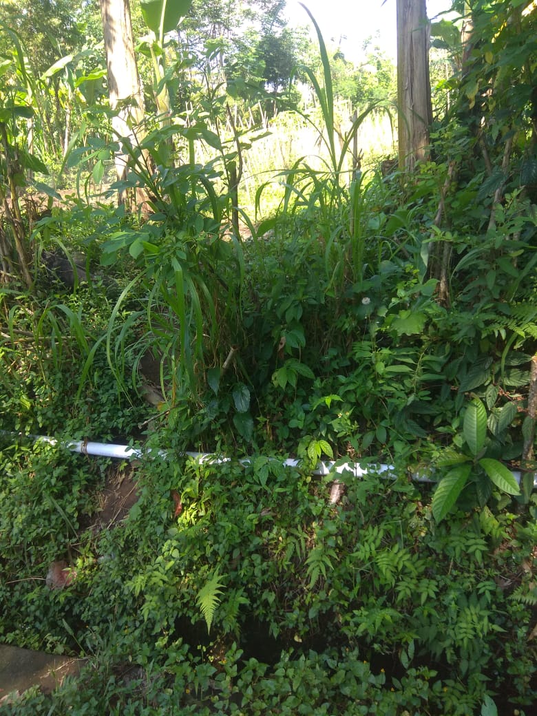 Jual Tanah di Taro Tegalalang